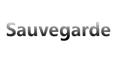 Sauvegarde