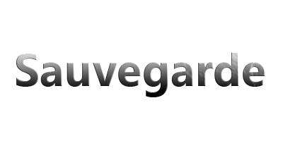 Sauvegarde